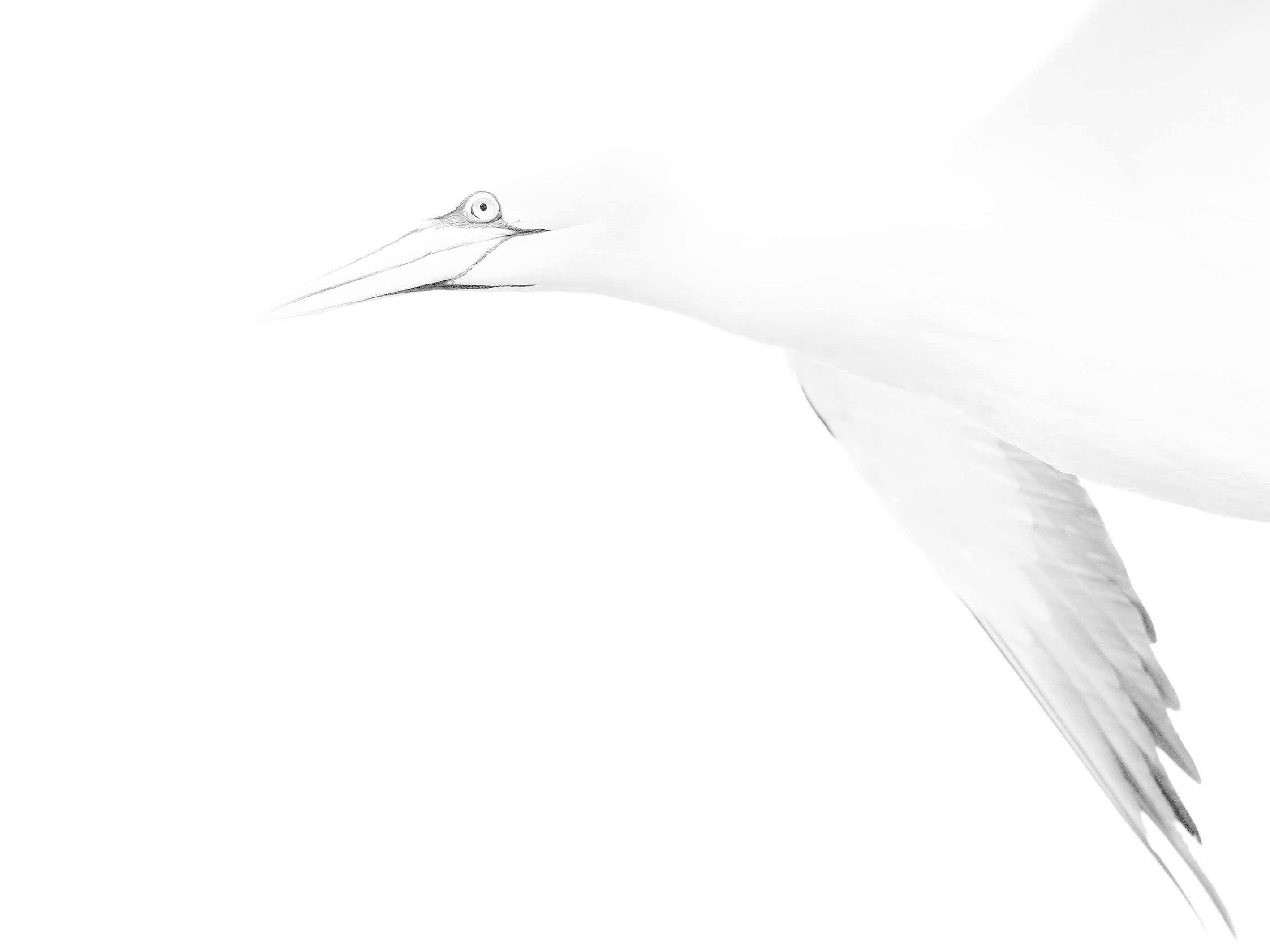 2025. SEPTIEMBRE. TEMA: 